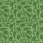 Fern Forest